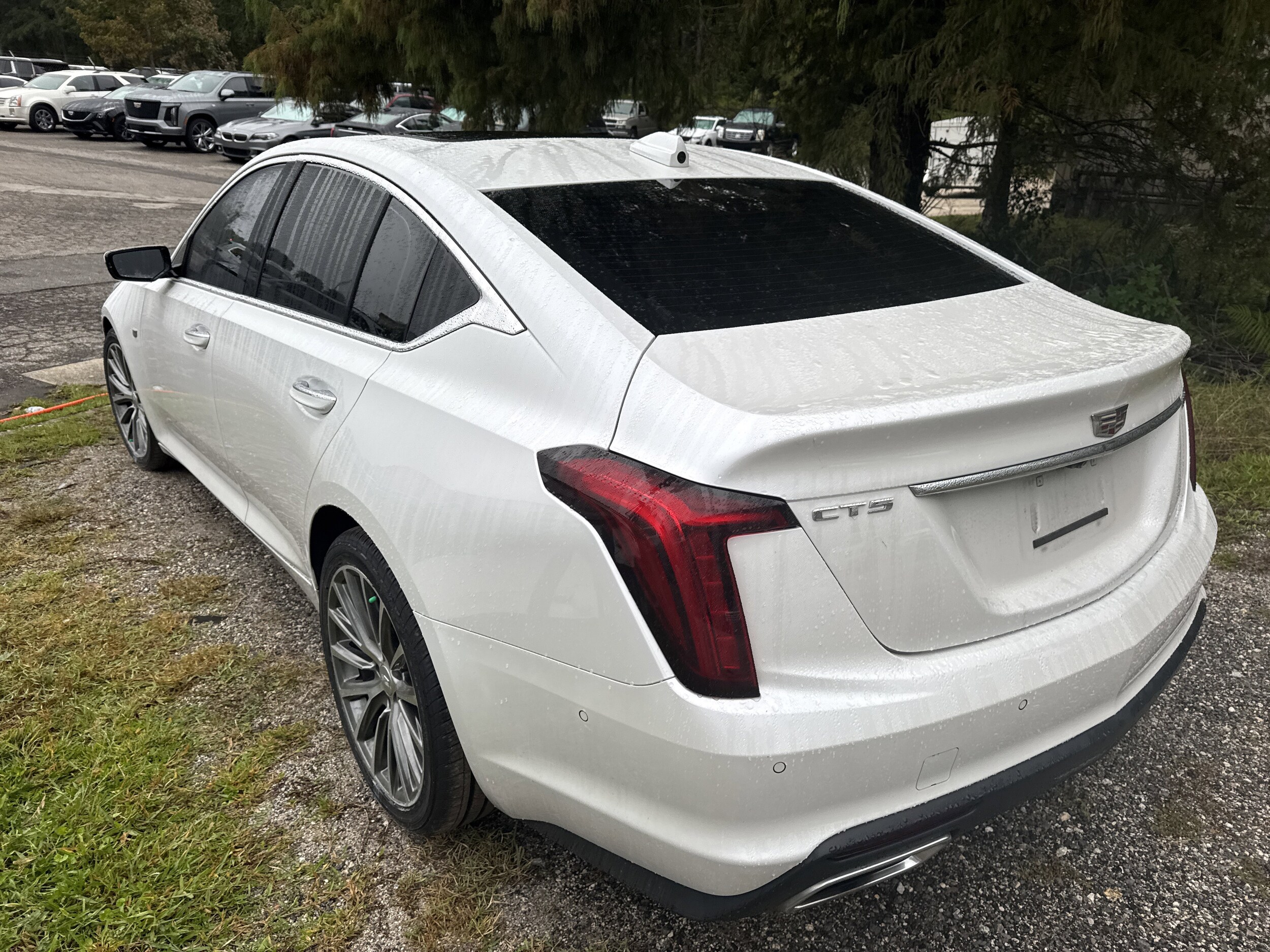 2024 Cadillac CT5 Premium Luxury photo 3