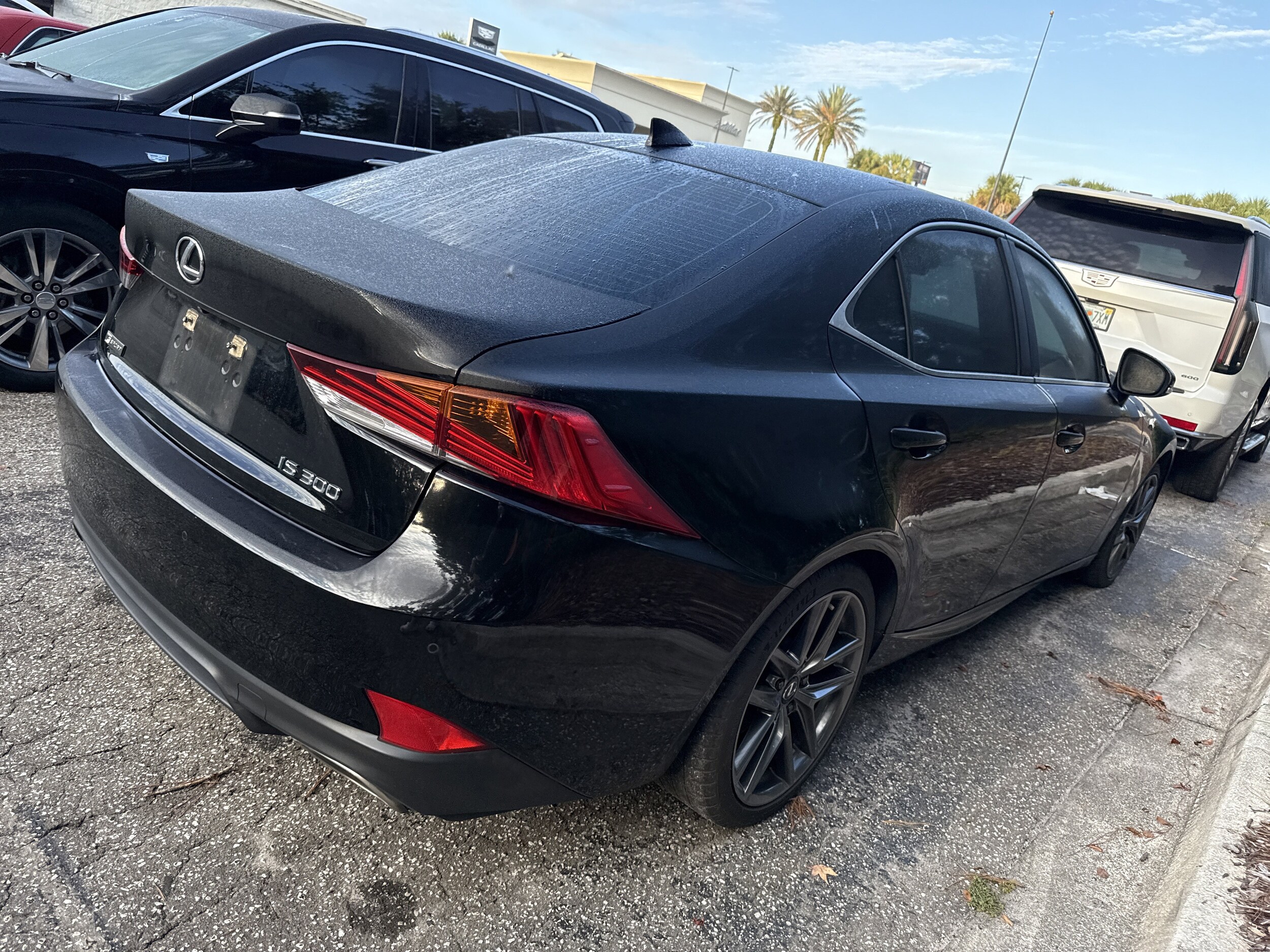 2020 Lexus IS 300 F SPORT photo 3