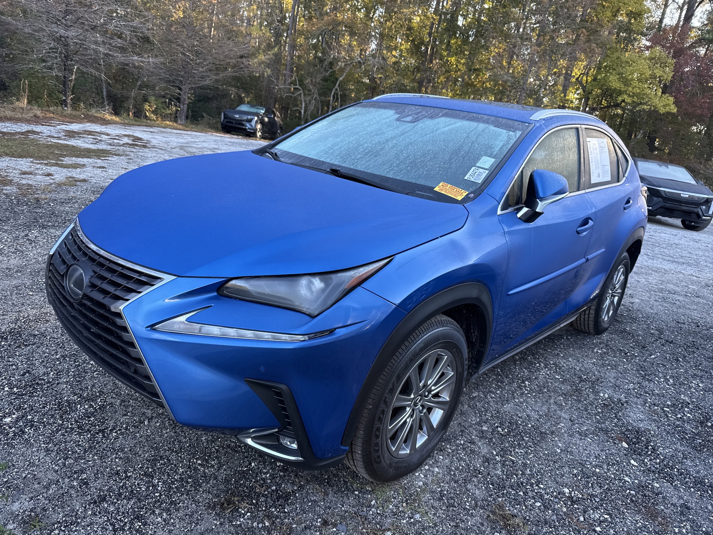 2019 Lexus NX Hybrid 300h's photo