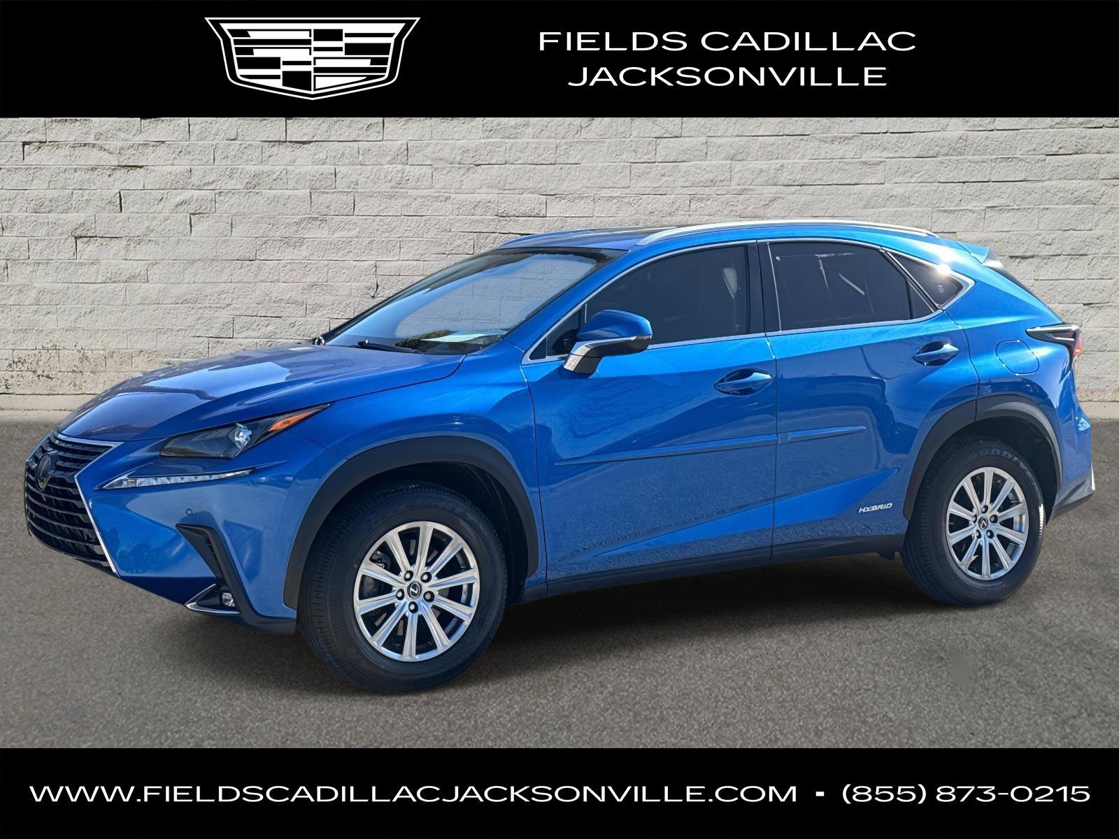 2019 Lexus NX Hybrid 300h's photo