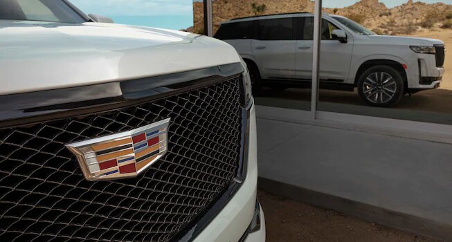 Caddy general.png