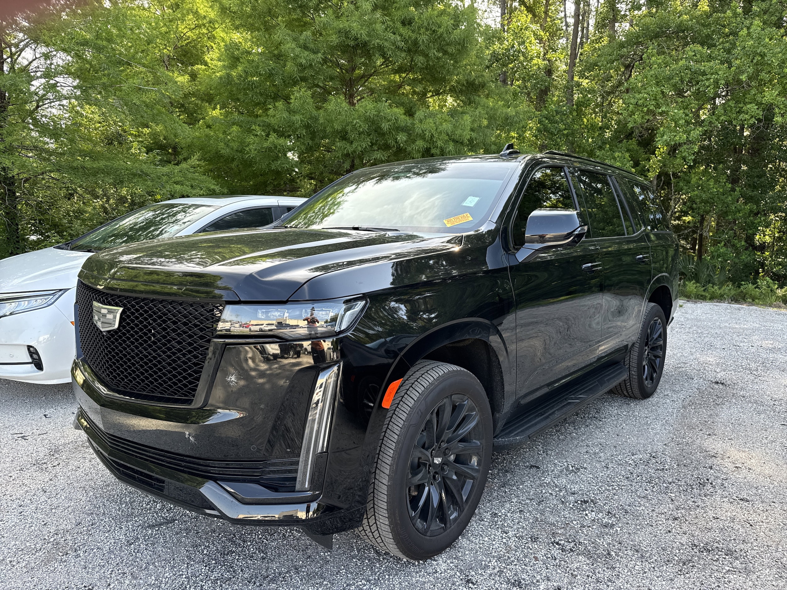 2024 Cadillac Escalade 4WD Sport's photo
