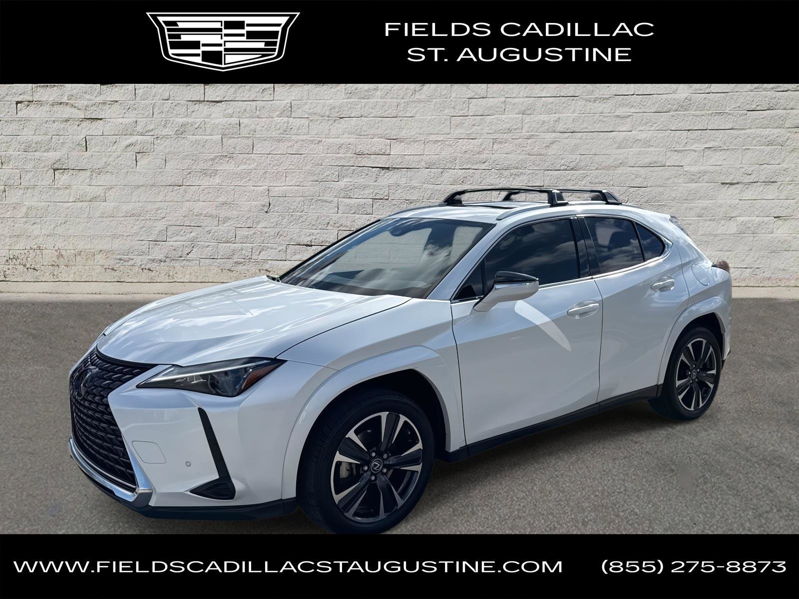 2023 Lexus UX Hybrid 250h Premium's photo