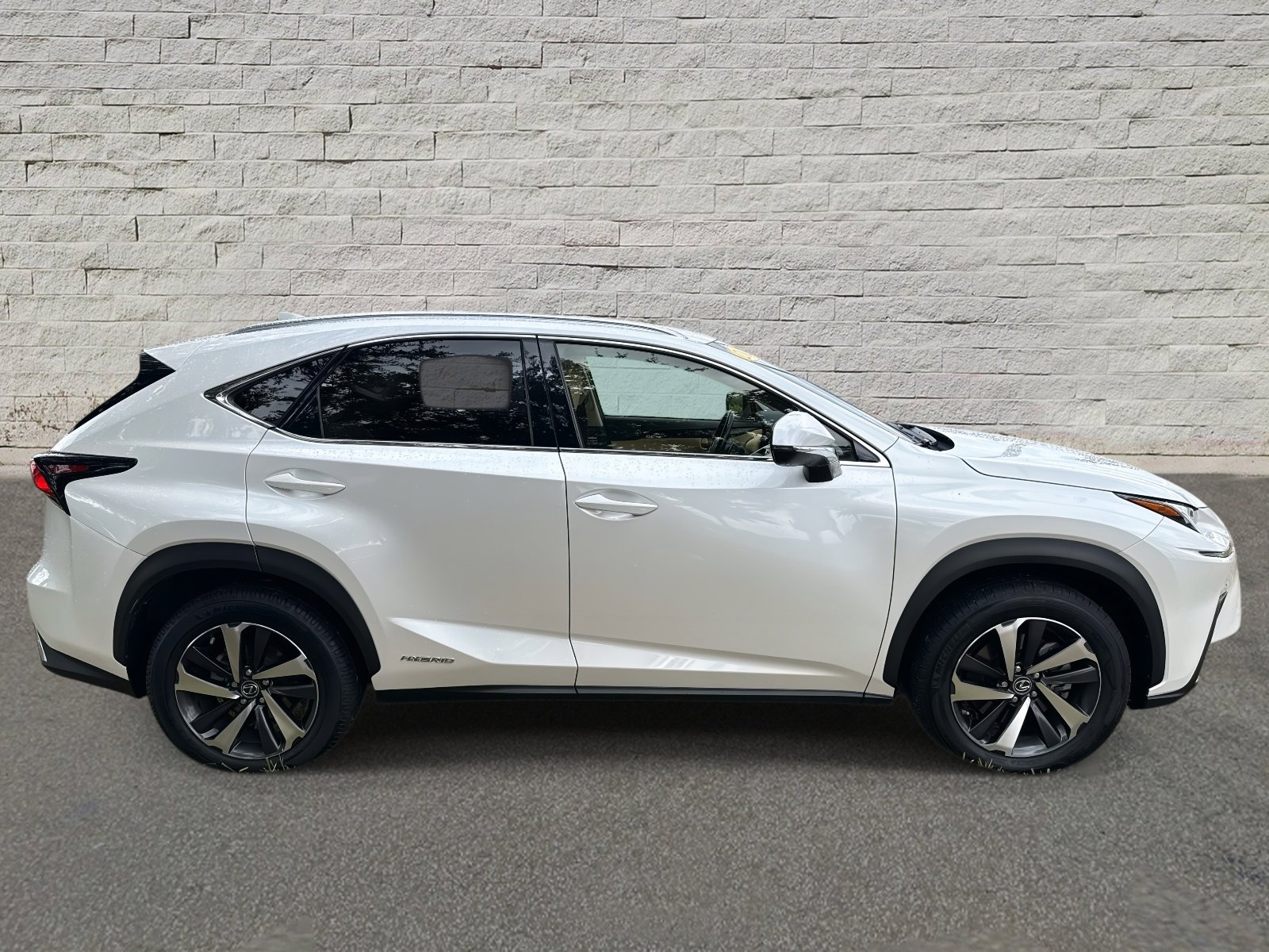 2021 Lexus NX 300h photo 4