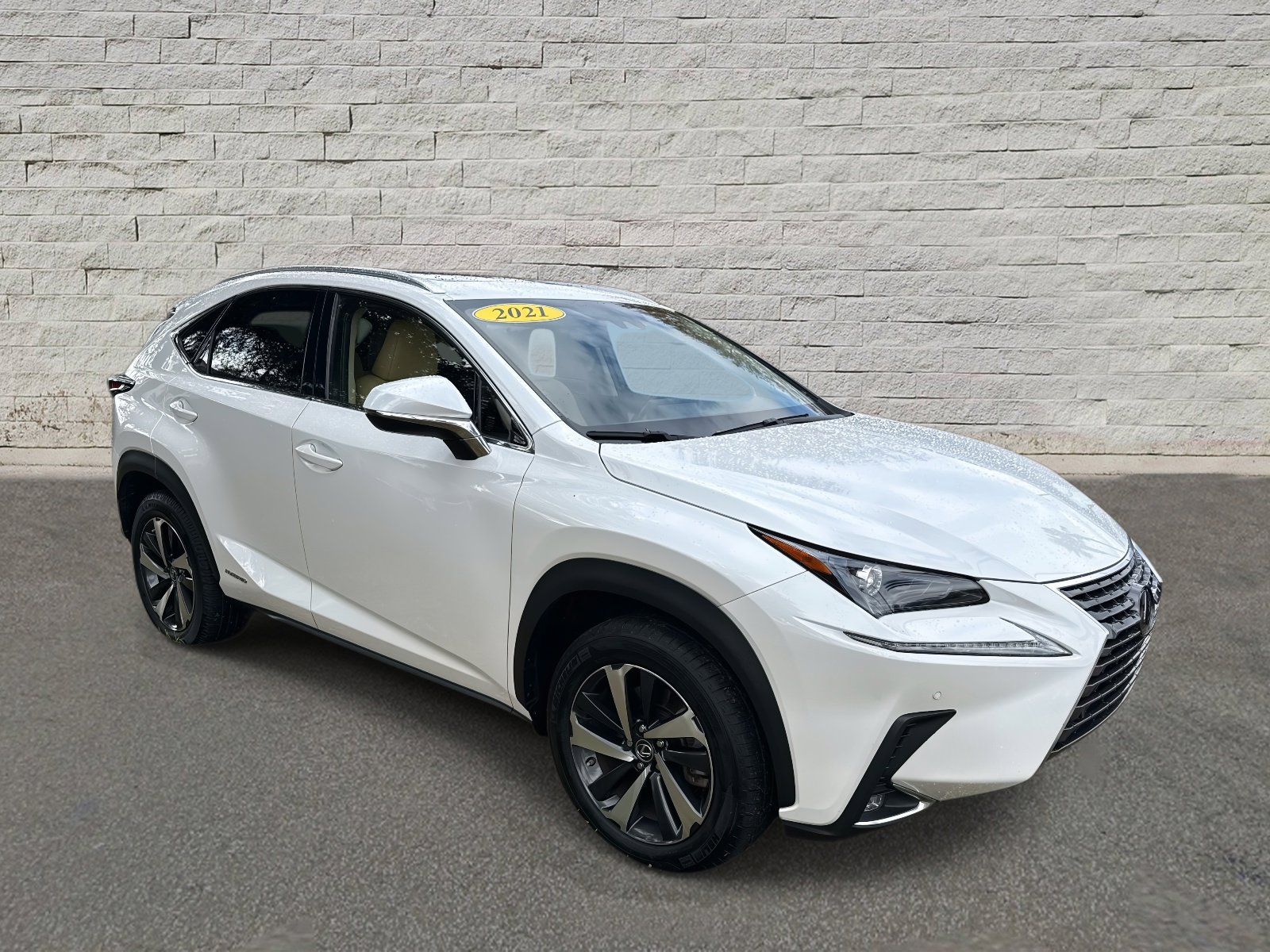2021 Lexus NX 300h photo 3