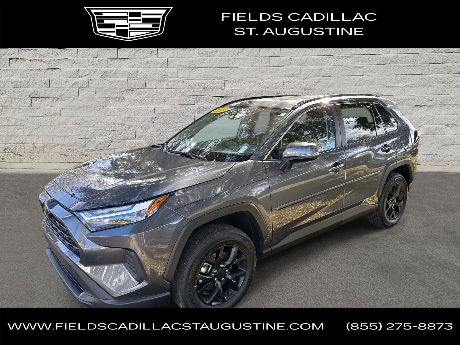 2023 Toyota RAV4 XLE's photo