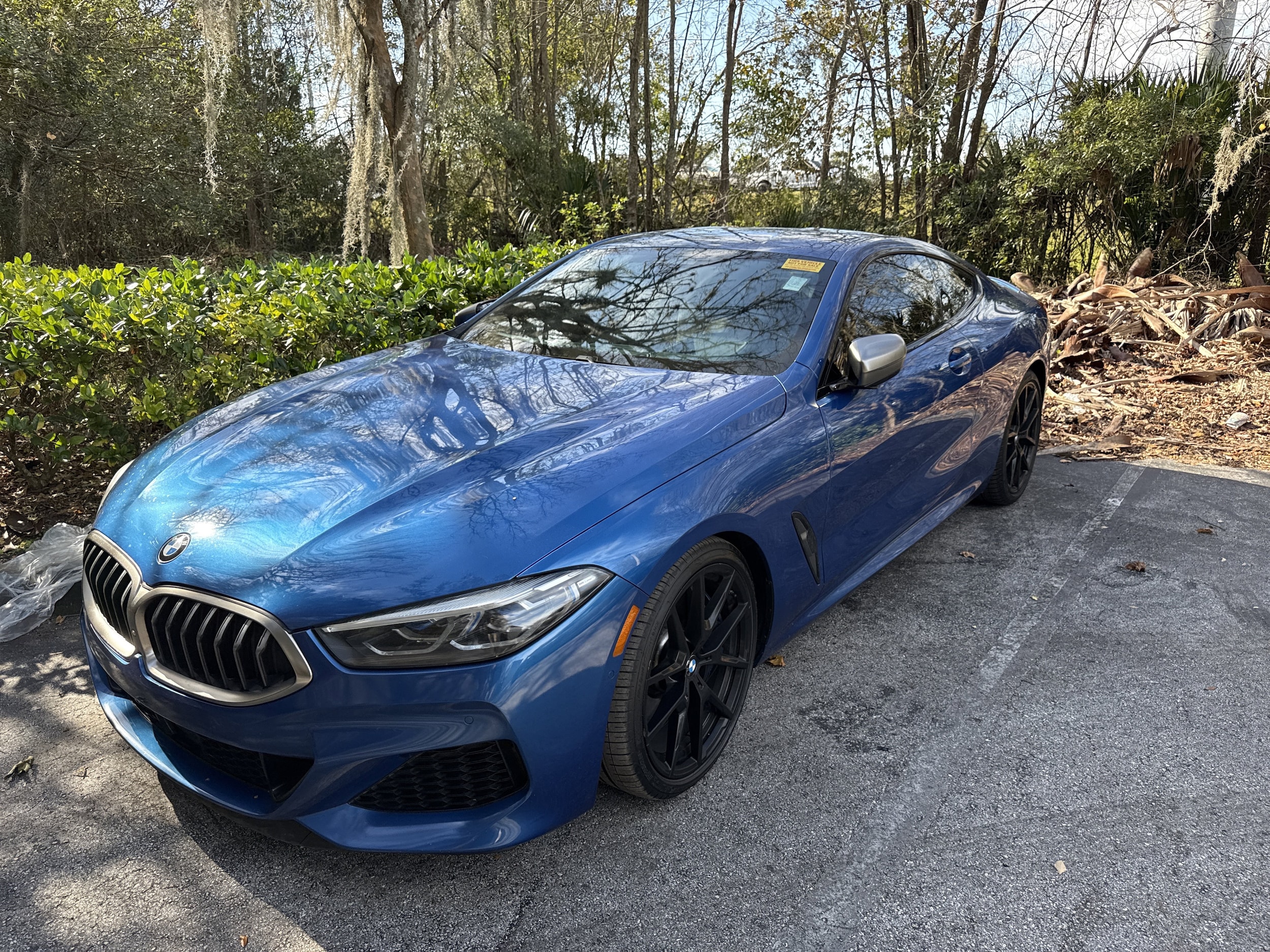 2019 BMW 8 Series M850i's photo