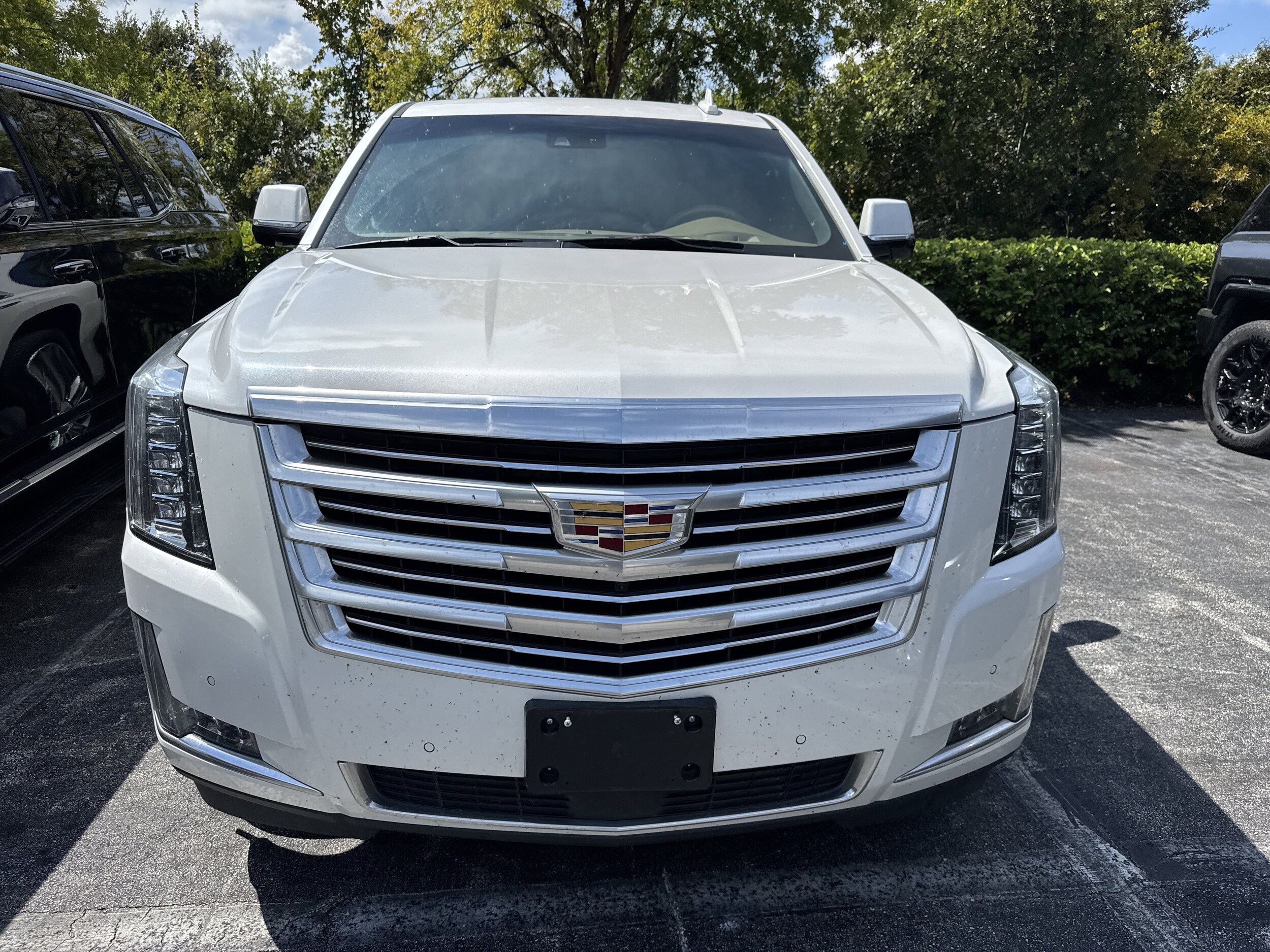 2019 Cadillac Escalade Platinum photo 2
