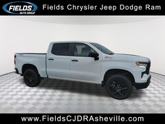 2023 Chevrolet Silverado 1500 LT Trail Boss Truck