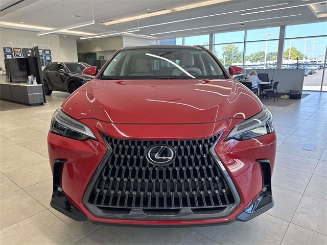 2025 Lexus NX 350 Luxury photo 2