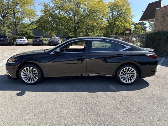 2022 Lexus ES 300h Luxury photo 2