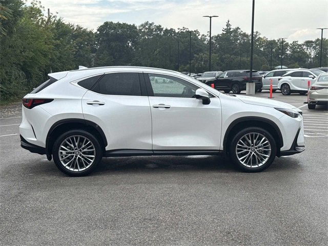 2025 Lexus NX 350 Premium photo 4