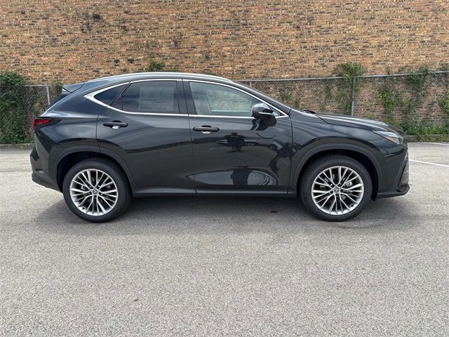 2025 Lexus NX 350 Luxury photo 4