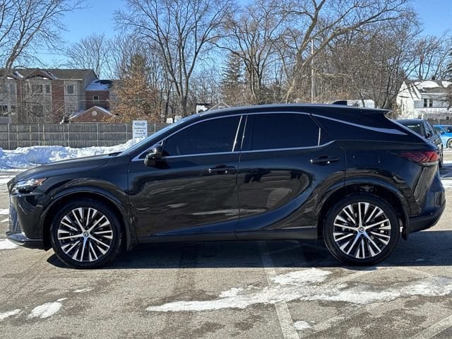 2025 Lexus RX 350 - Photo 8