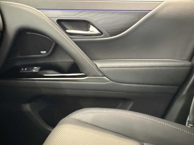 2026 Lexus LX 700h Luxury - Photo 21