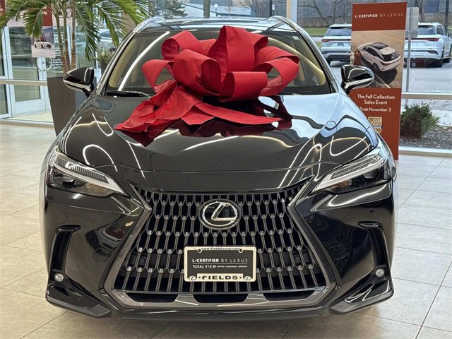 2025 Lexus NX 350 photo 2