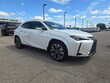 LEXUS UX 300h