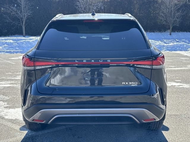 2025 Lexus RX 350 - Photo 6