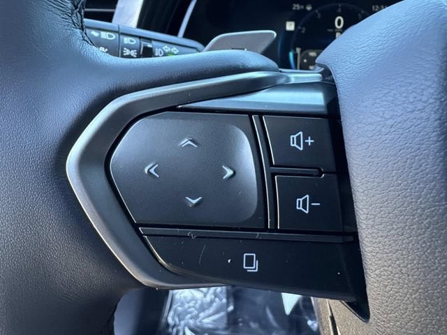 2025 Lexus RX 350 - Photo 31
