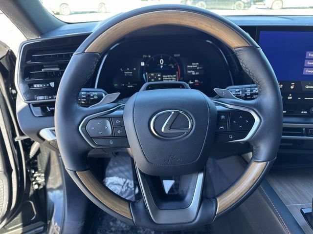 2025 Lexus RX 350 - Photo 28