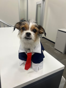 Staff member Milo Rodriguez from ID_0550d87a4e6b