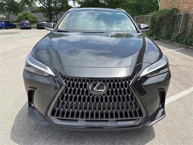 2025 Lexus NX 350 Luxury photo 2
