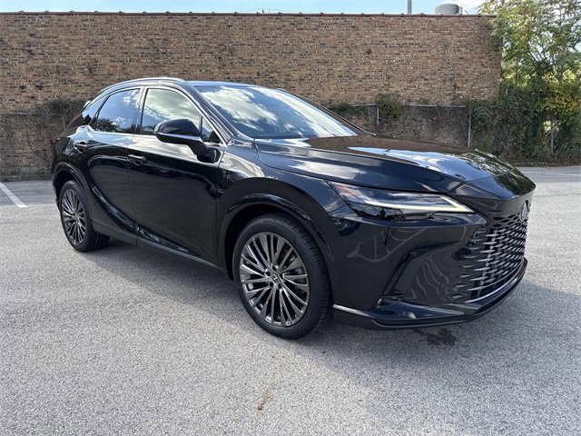 2023 Lexus RX 350 Luxury photo 3