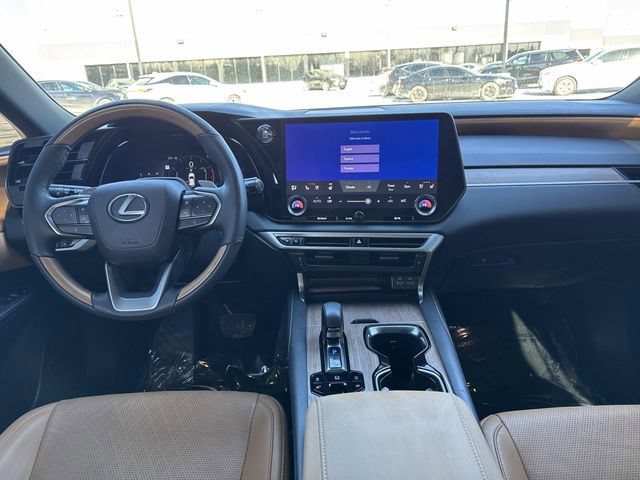 2025 Lexus RX 350 - Photo 15
