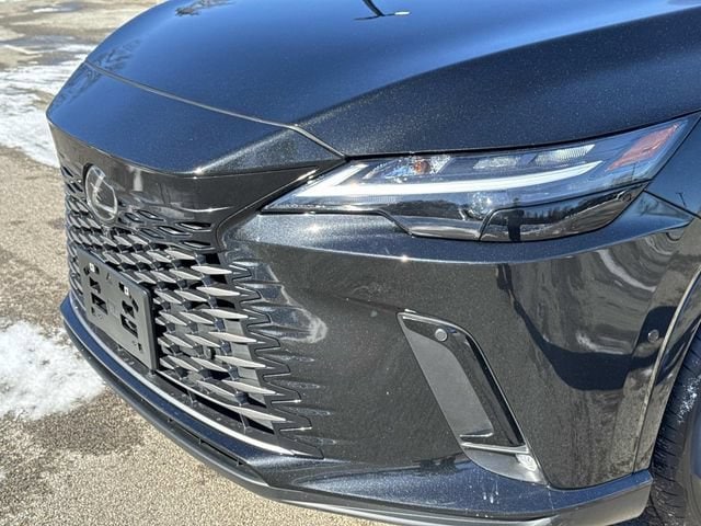 2025 Lexus RX 350 - Photo 10
