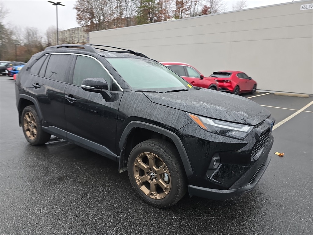 2024 Toyota RAV4 Woodland Edition's photo