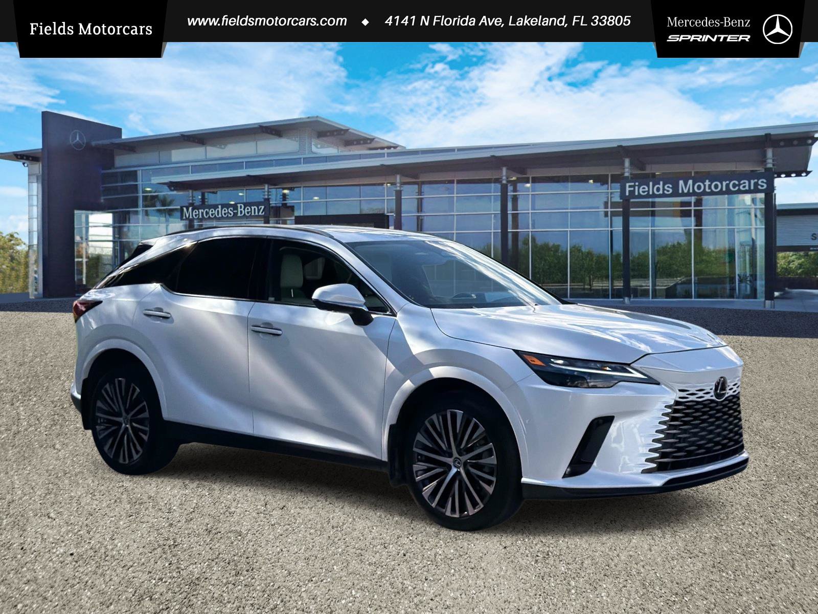 2025 Lexus RX