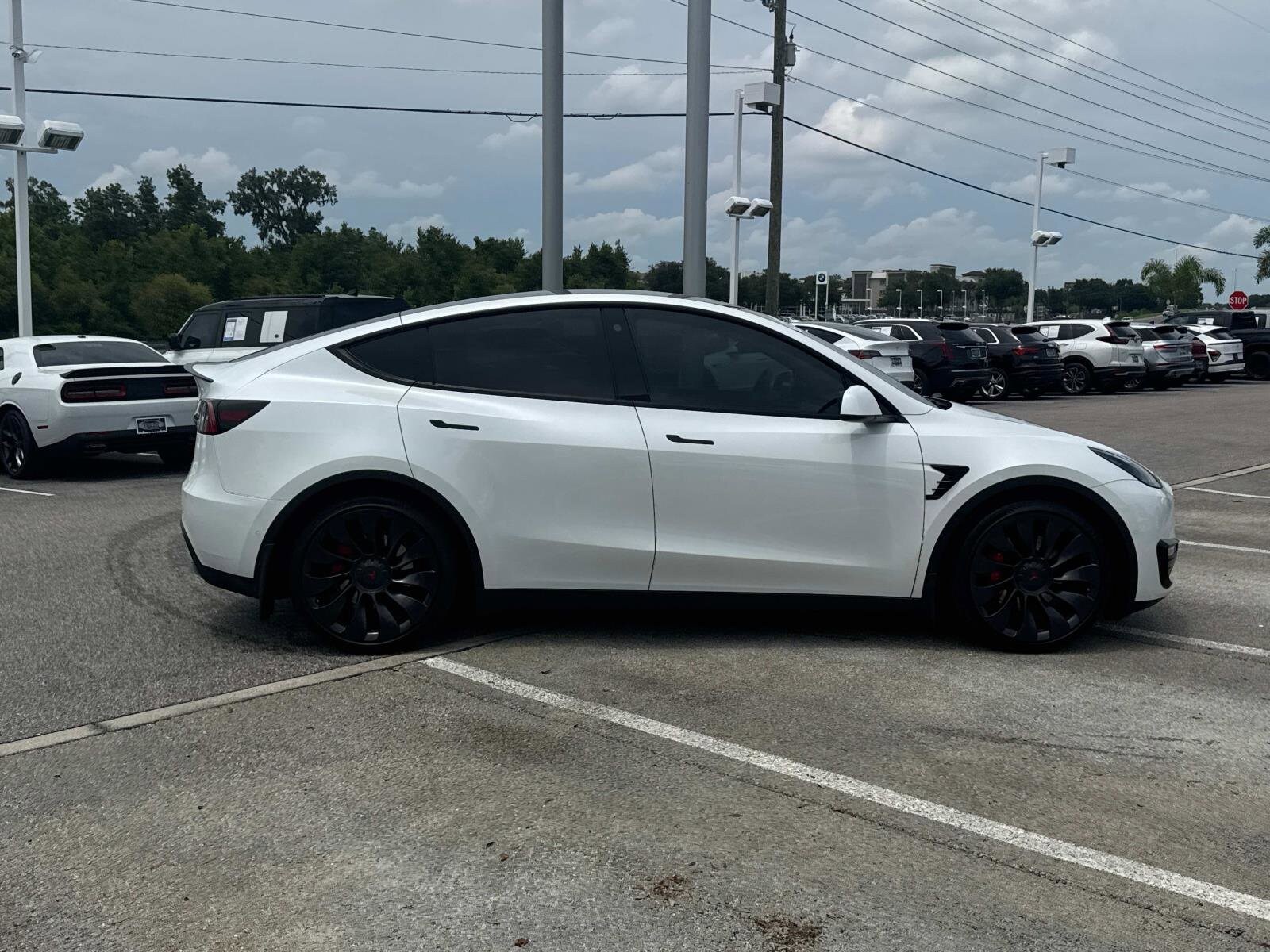 Used 2022 Tesla Model Y Performance with VIN 7SAYGDEF1NF369187 for sale in Lakeland, FL