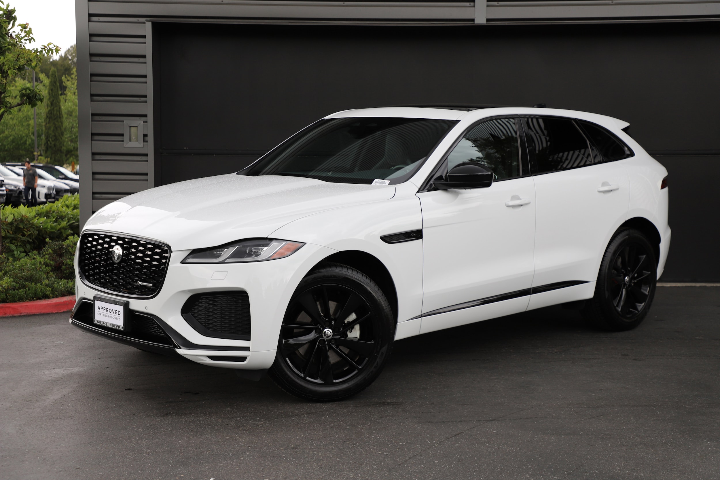 2025 Jaguar F-PACE P250 R-Dynamic S's photo