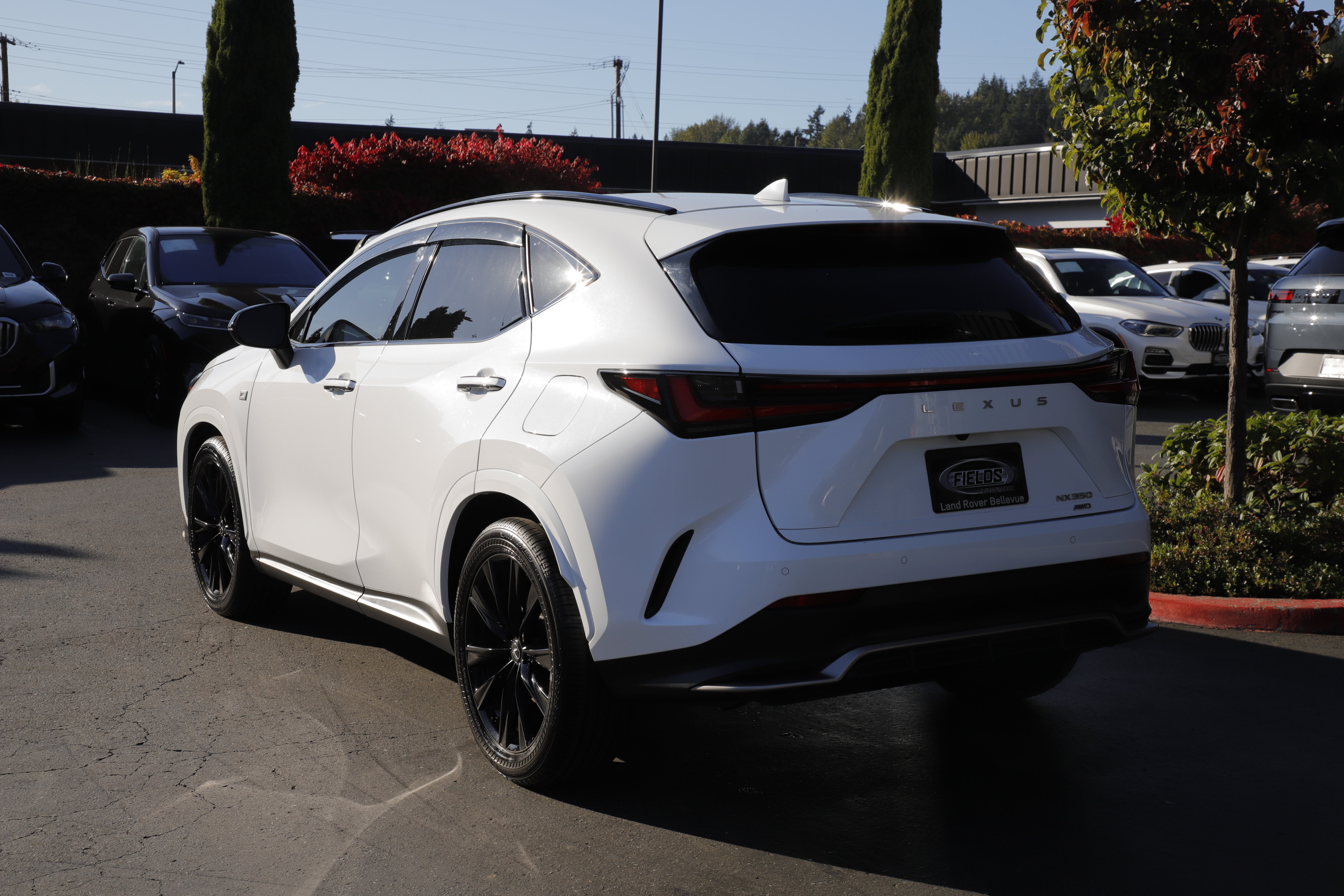 Used 2025 Lexus NX 350 F SPORT Handling SUV