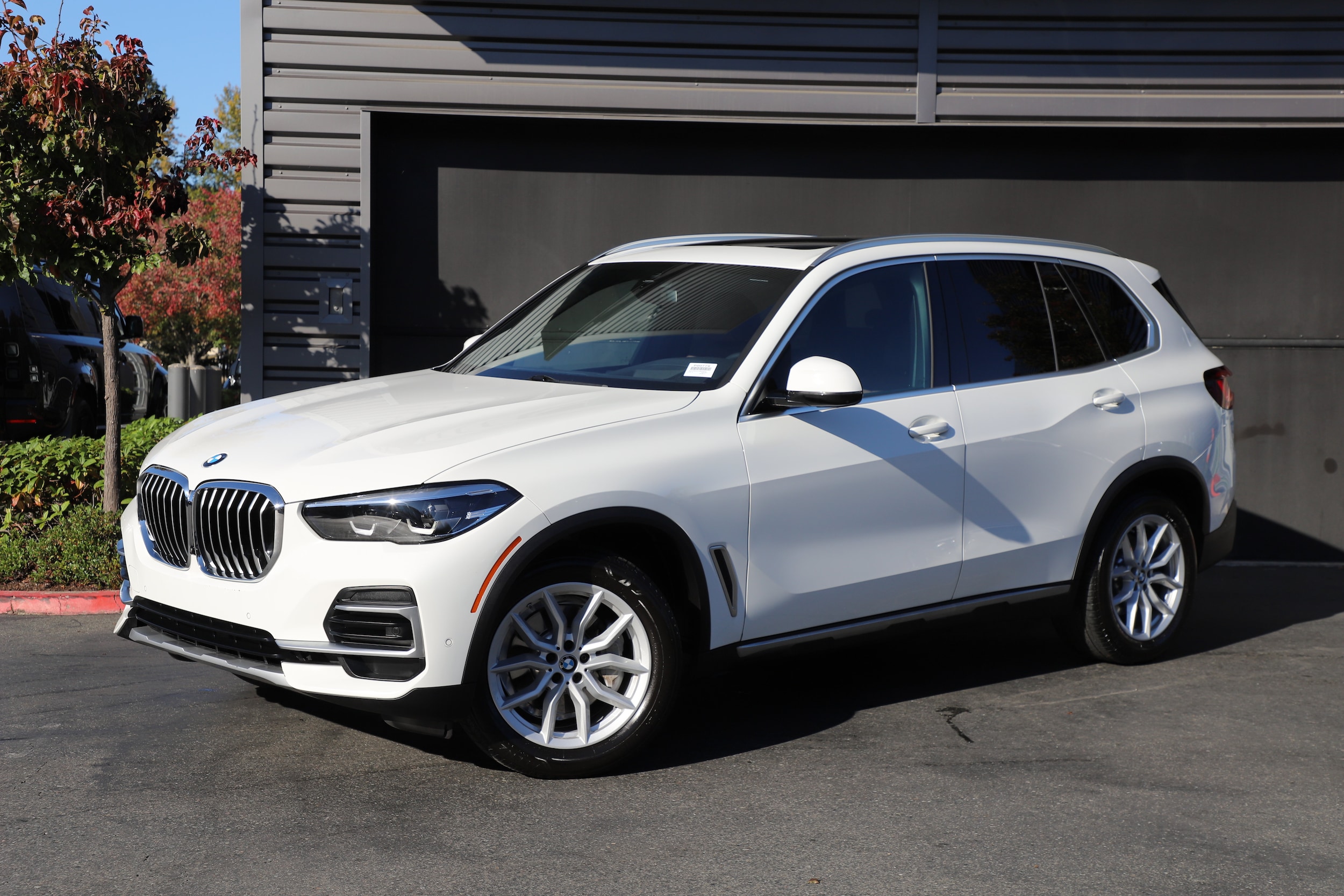 2023 BMW X5