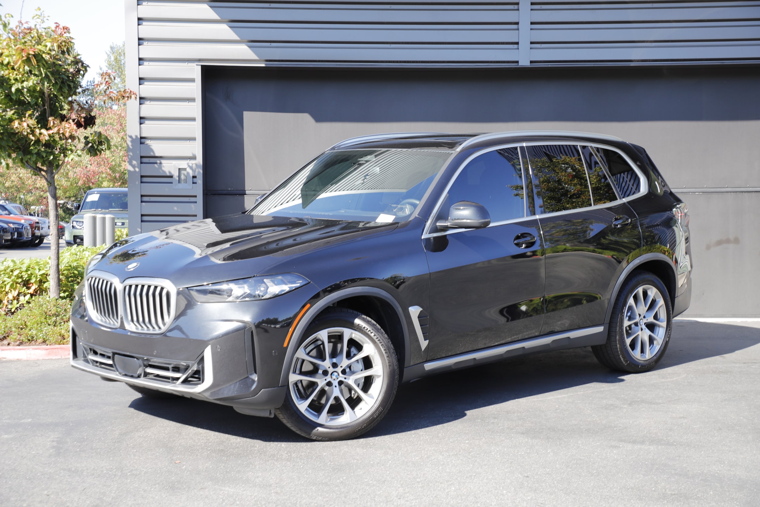 2024 BMW X5