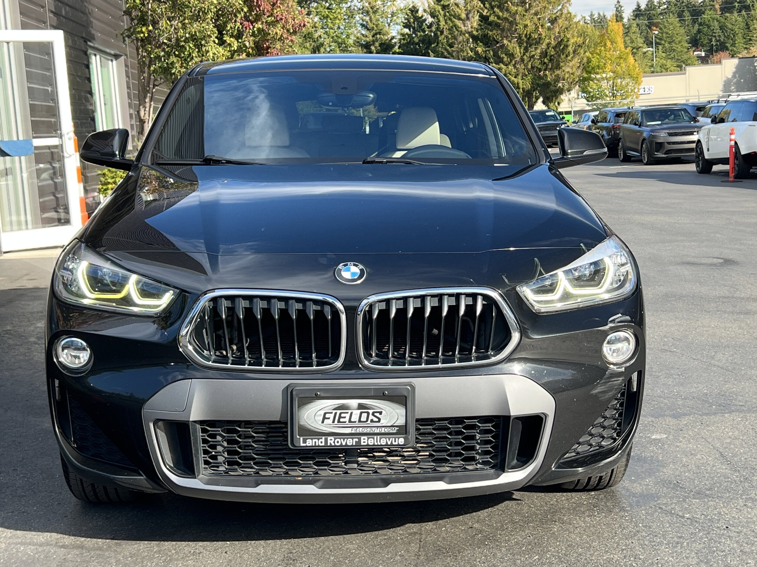 2018 Bmw X2 xDrive28i photo 4