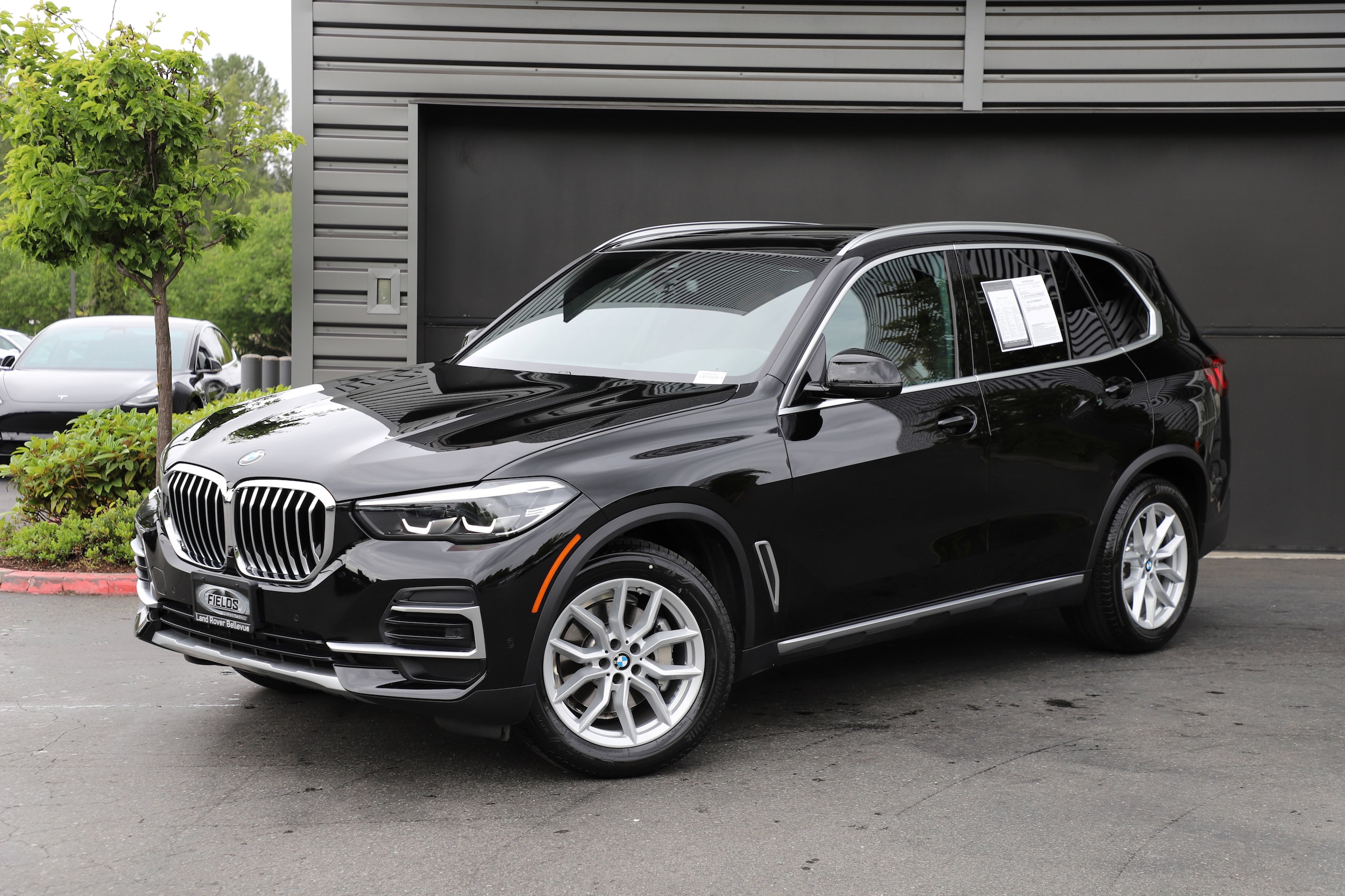 2023 BMW X5 xDrive40i's photo