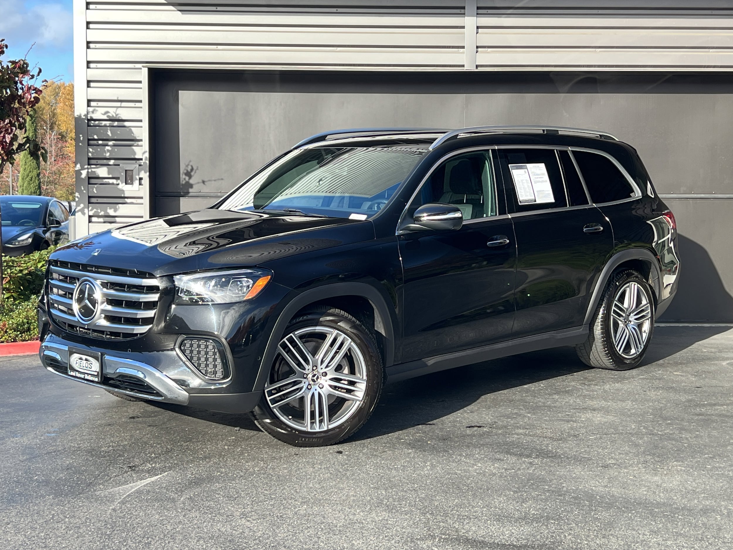 2025 Mercedes-Benz GLS Base's photo