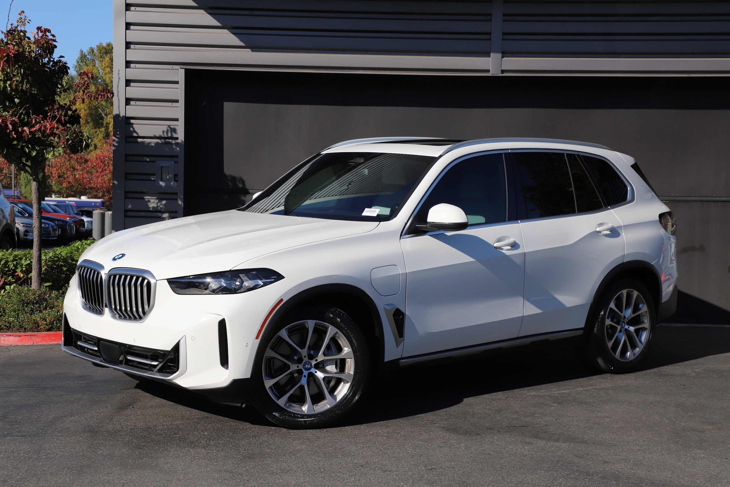 2024 BMW X5