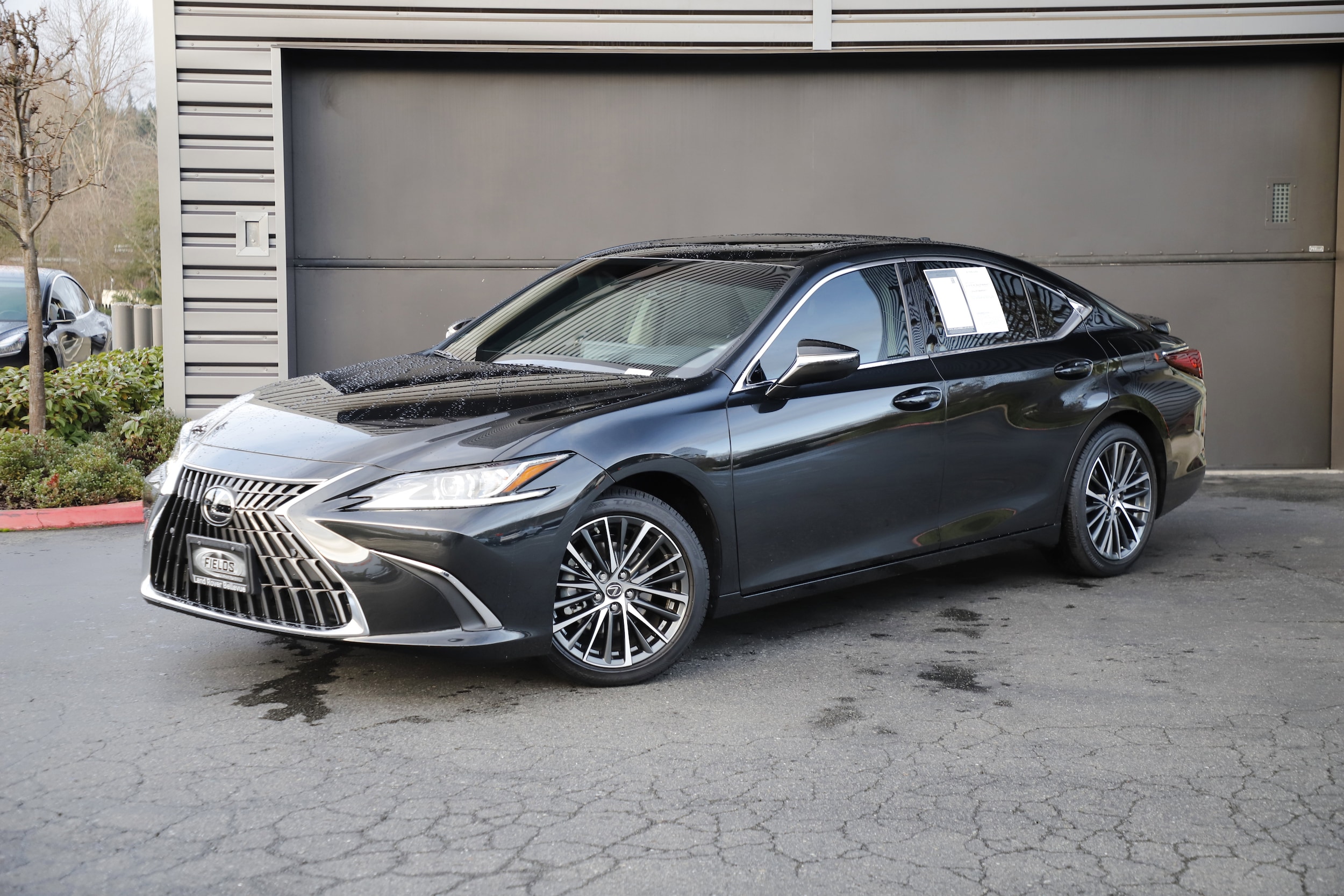 2025 Lexus ES Hybrid 300h's photo