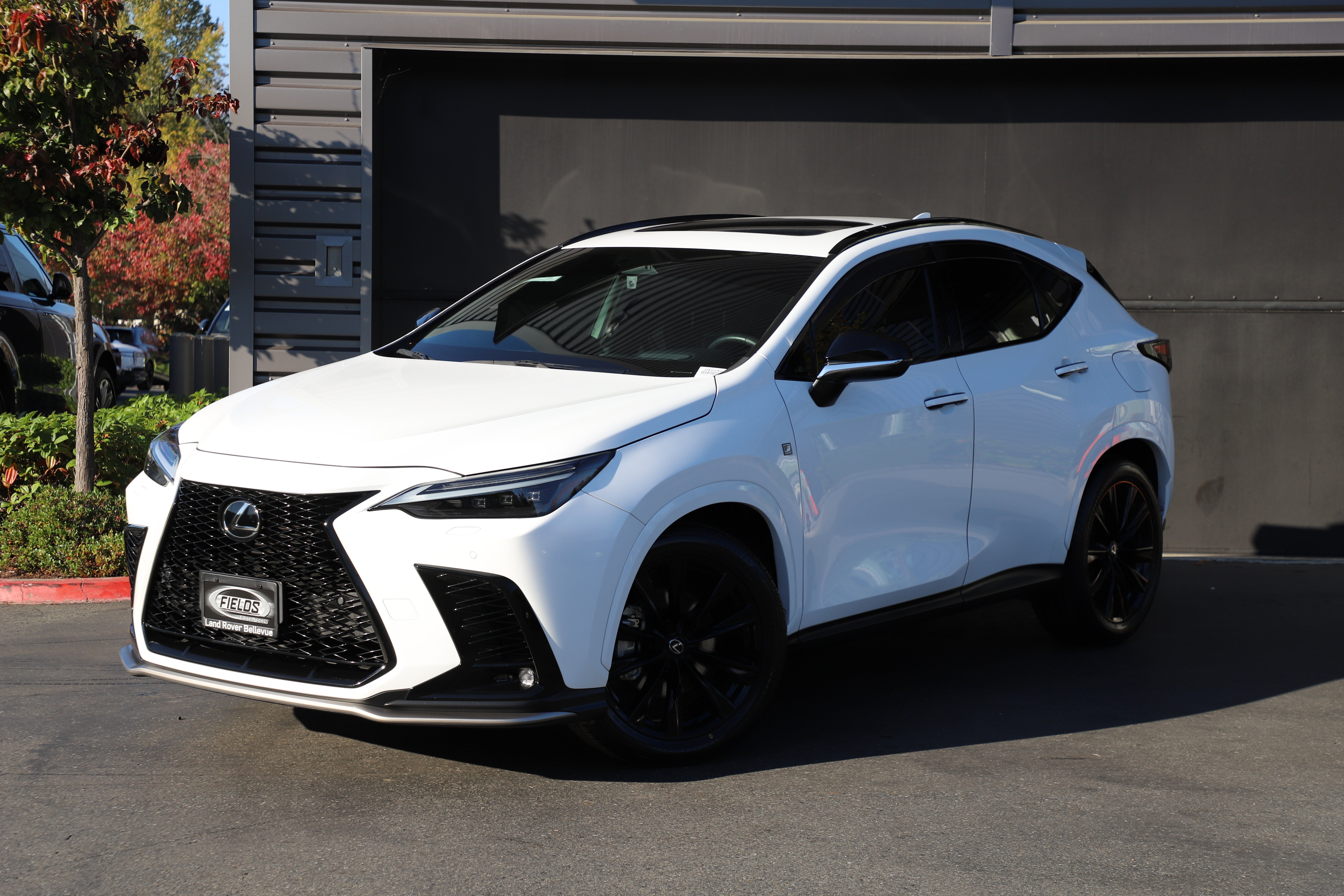 LEXUS NX 350