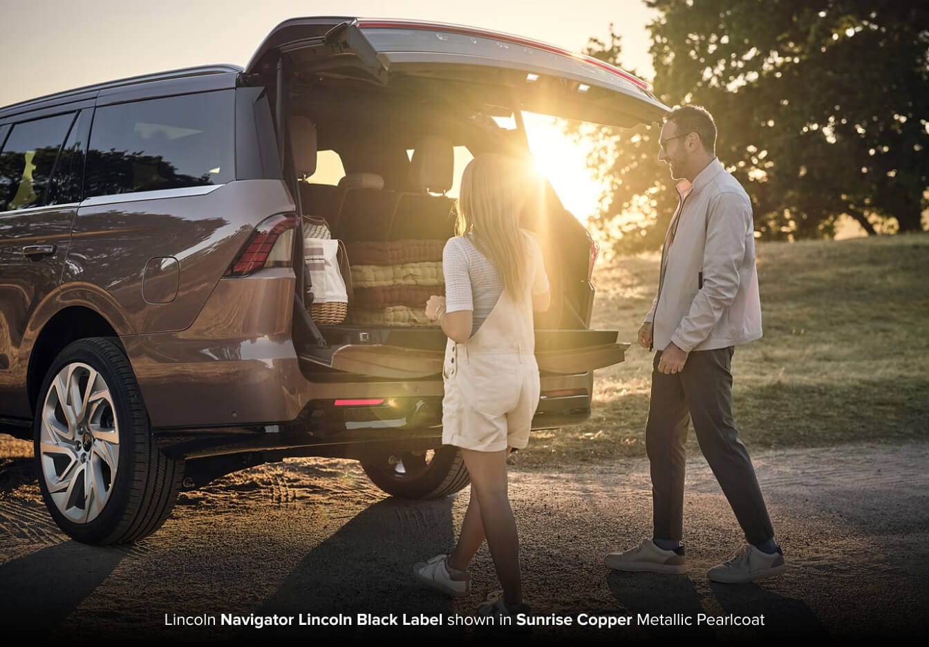 Order Your Lincoln Car Accessories at Fiesta Lincoln