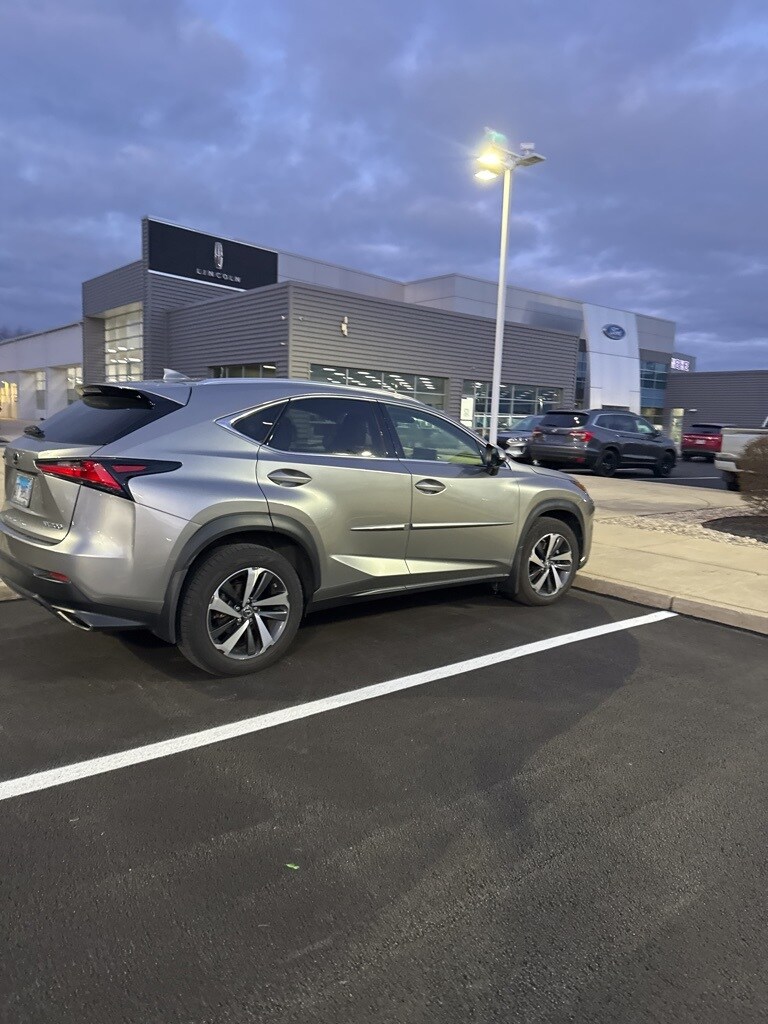 2018 Lexus NX 300 F SPORT photo 4