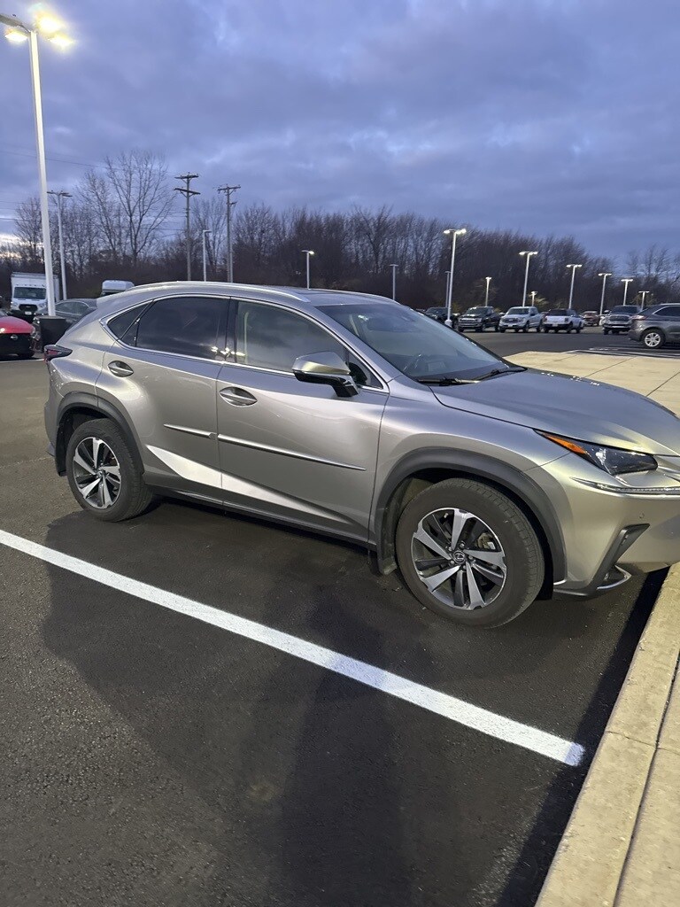 2018 Lexus NX 300 F SPORT photo 2
