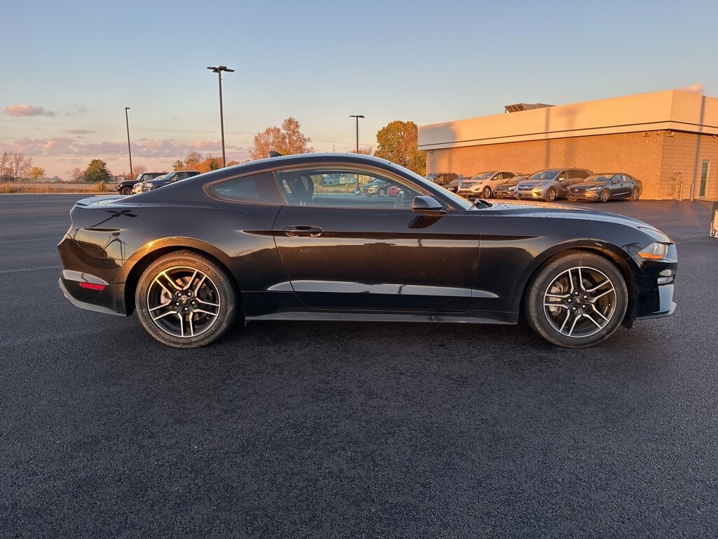 2020 Ford Mustang EcoBoost photo 2