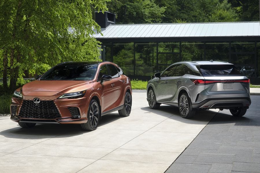 two%20different%20Lexus%20RX%20trim%20models.jpg