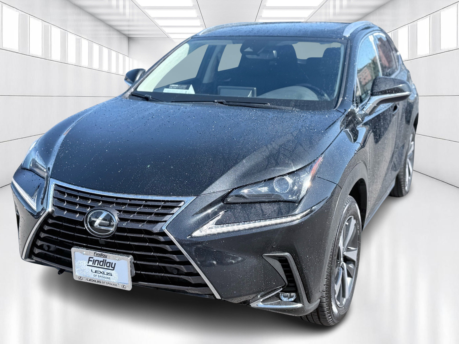 2021 Lexus NX