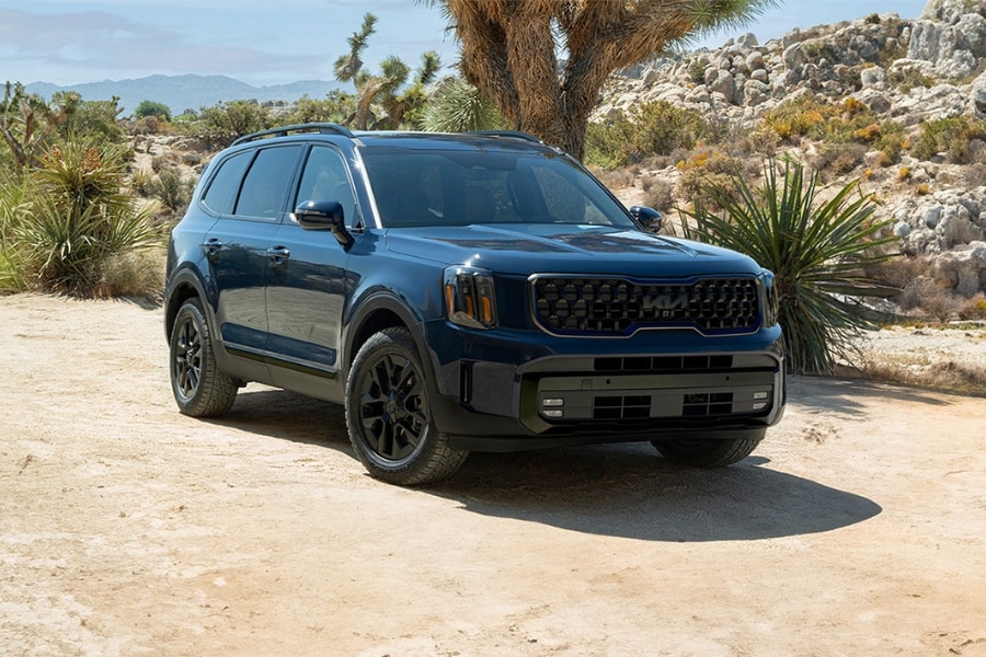 Kia Telluride interior and exterior detail