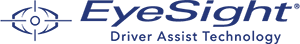 300 × 44